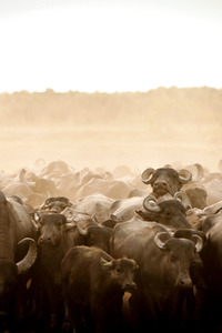 Top Blonde Babe Andressa Ribiero As Miss January 2011 For Playboy Brazil