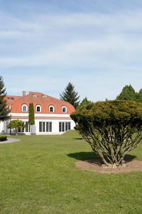 Lexi Luv Sexy Ebony Chick Rides White Cock